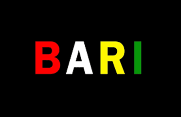 Bari English Academy